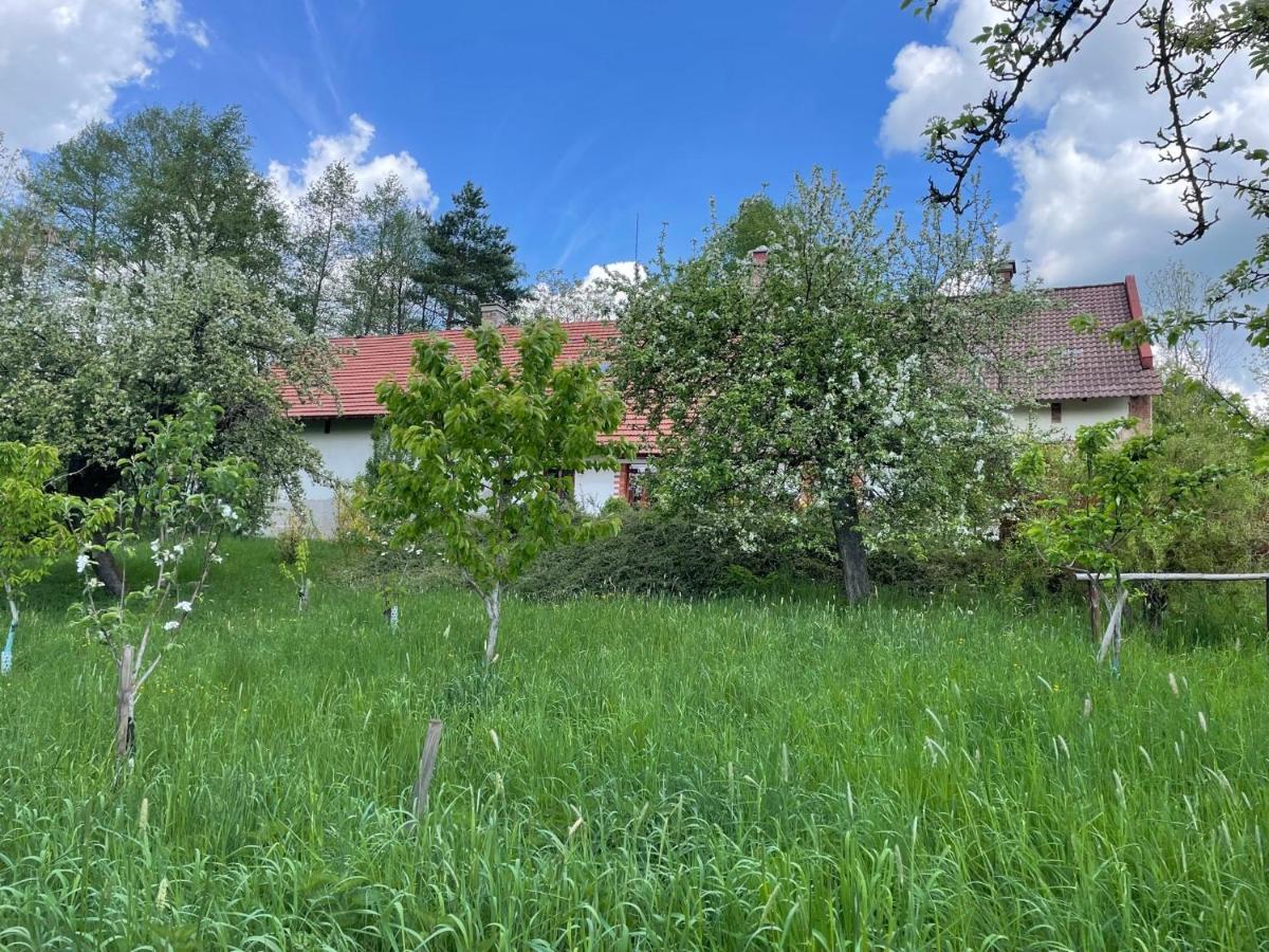 Hlinne V Orlickych Horach Apartment