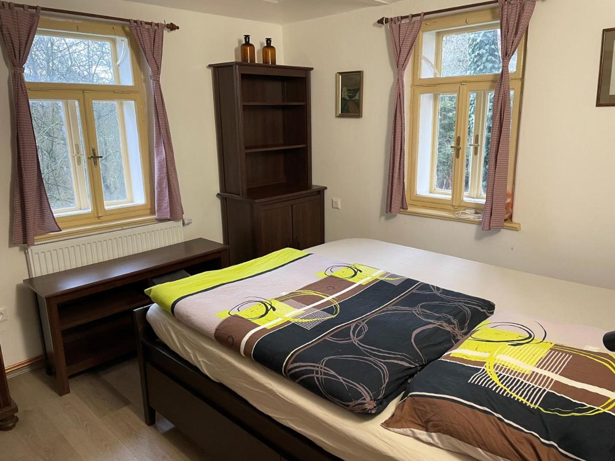 Hlinne V Orlickych Horach Apartment *